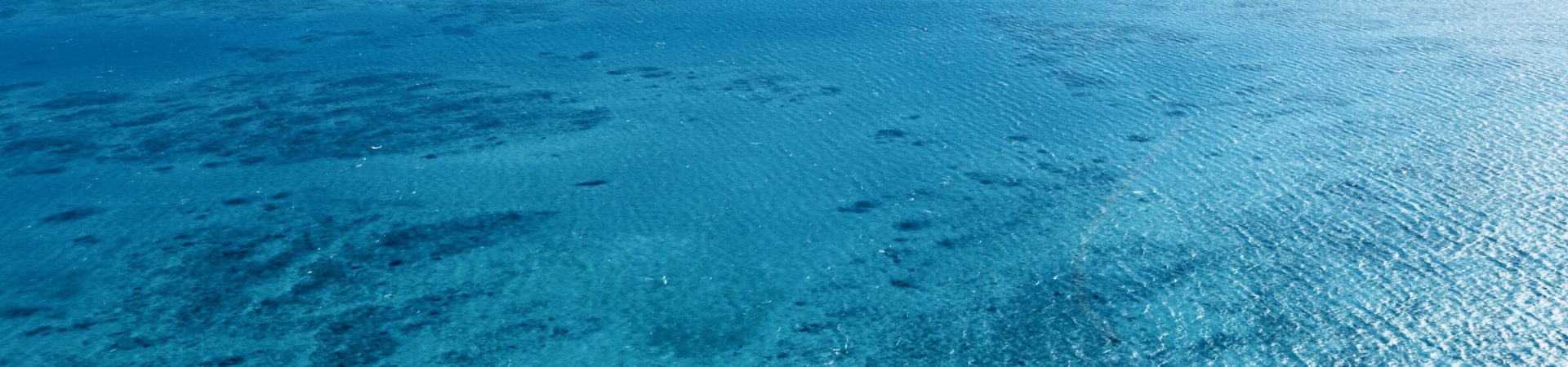 Top Australia Guide banner